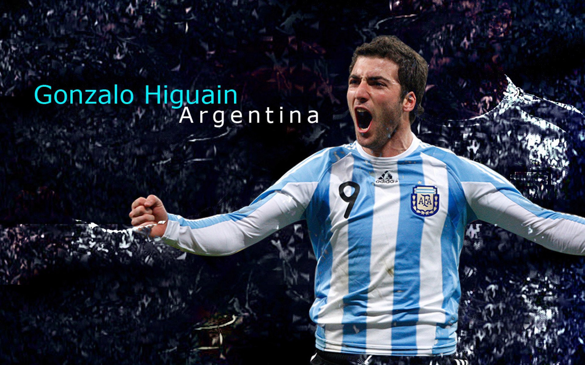 澳大利亚再创连胜纪录,气势如虹,澳大利亚夺冠