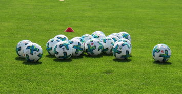 乐鱼体育官网入口-国际足坛人才培养论坛讨论未来发展方向，足球人才培养方案